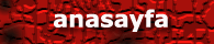 anasayfa