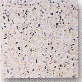 model2